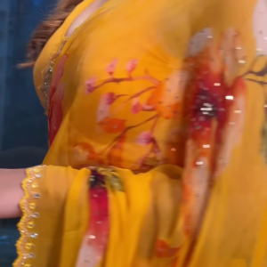 Crimson Floral Dream: Hand-Painted Chiffon Saree with Sequin Border